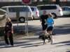 pacerace60909004_small.jpg